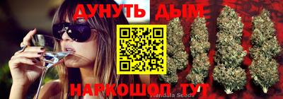 гашиш Будённовск