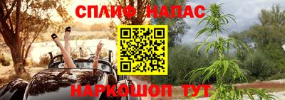 ПСИЛОЦИБИНОВЫЕ ГРИБЫ Бузулук