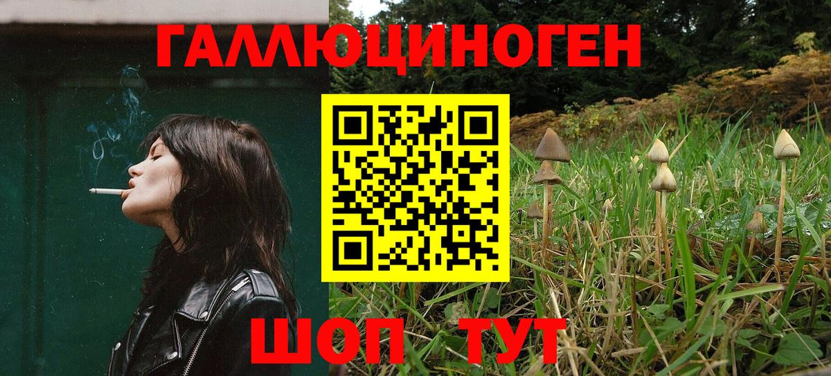 Псилоцибиновые грибы MAGIC MUSHROOMS Тосно
