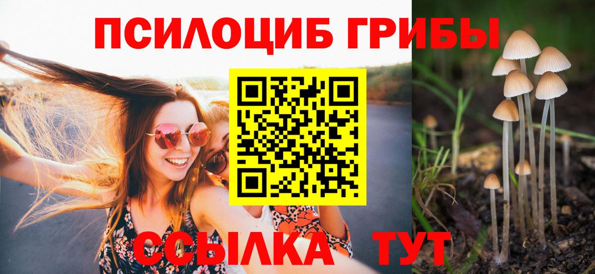 Галлюциногенные грибы Magic Shrooms  Вход с VPN  Псилоцибиновые грибы мухоморы  Тосно 